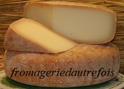 Tome de brebis des Pyrénées